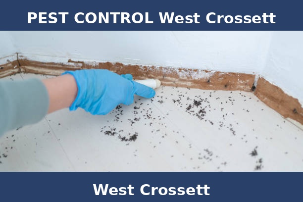 PEST CONTROL West Crossett